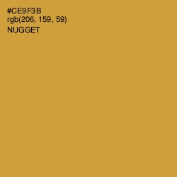 #CE9F3B - Nugget Color Image