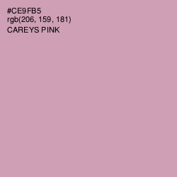 #CE9FB5 - Careys Pink Color Image