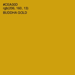 #CEA00D - Buddha Gold Color Image