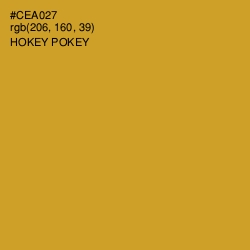 #CEA027 - Hokey Pokey Color Image