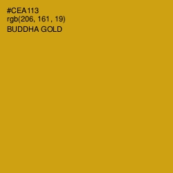 #CEA113 - Buddha Gold Color Image