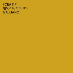 #CEA11F - Galliano Color Image