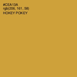 #CEA13A - Hokey Pokey Color Image