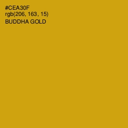 #CEA30F - Buddha Gold Color Image