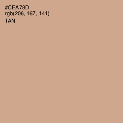 #CEA78D - Tan Color Image