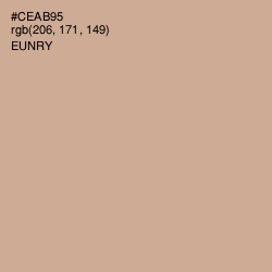 #CEAB95 - Eunry Color Image