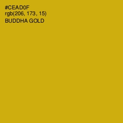 #CEAD0F - Buddha Gold Color Image