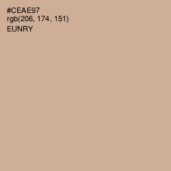 #CEAE97 - Eunry Color Image