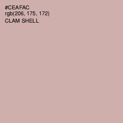 #CEAFAC - Clam Shell Color Image