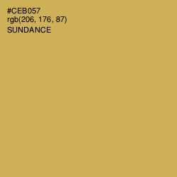 #CEB057 - Sundance Color Image