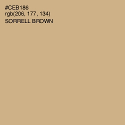 #CEB186 - Sorrell Brown Color Image
