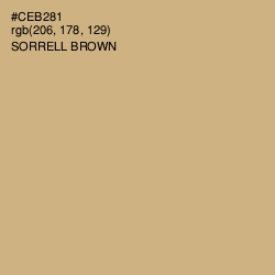 #CEB281 - Sorrell Brown Color Image