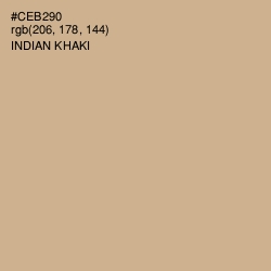 #CEB290 - Indian Khaki Color Image