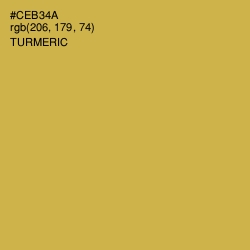 #CEB34A - Turmeric Color Image