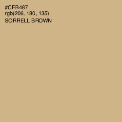 #CEB487 - Sorrell Brown Color Image