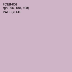#CEB4C6 - Pale Slate Color Image