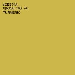 #CEB74A - Turmeric Color Image