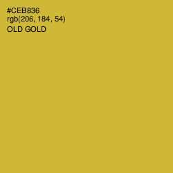 #CEB836 - Old Gold Color Image