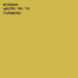 #CEB84A - Turmeric Color Image