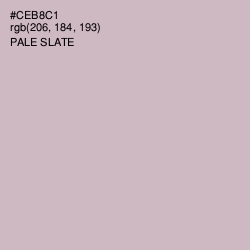 #CEB8C1 - Pale Slate Color Image