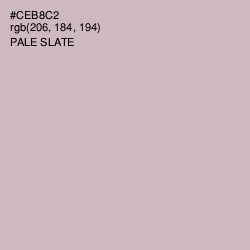 #CEB8C2 - Pale Slate Color Image