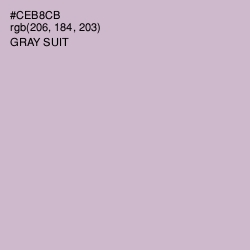 #CEB8CB - Gray Suit Color Image
