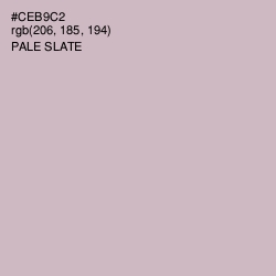 #CEB9C2 - Pale Slate Color Image