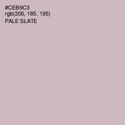 #CEB9C3 - Pale Slate Color Image