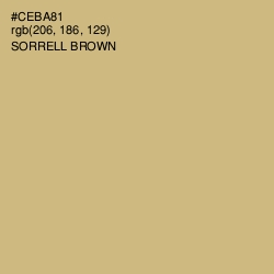 #CEBA81 - Sorrell Brown Color Image