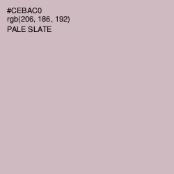 #CEBAC0 - Pale Slate Color Image