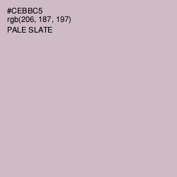 #CEBBC5 - Pale Slate Color Image