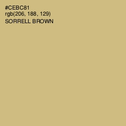 #CEBC81 - Sorrell Brown Color Image