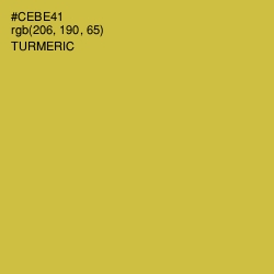 #CEBE41 - Turmeric Color Image