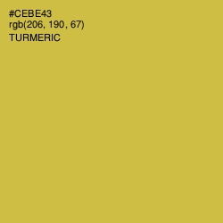 #CEBE43 - Turmeric Color Image