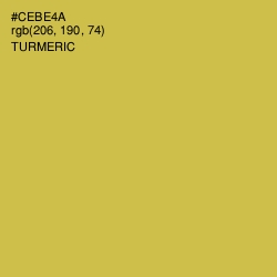 #CEBE4A - Turmeric Color Image