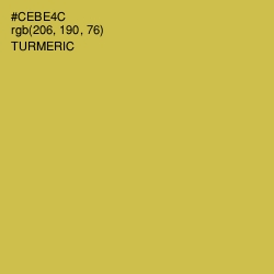 #CEBE4C - Turmeric Color Image