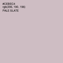 #CEBEC4 - Pale Slate Color Image