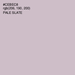 #CEBEC8 - Pale Slate Color Image