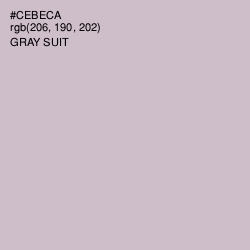 #CEBECA - Gray Suit Color Image