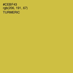 #CEBF43 - Turmeric Color Image