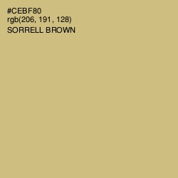 #CEBF80 - Sorrell Brown Color Image