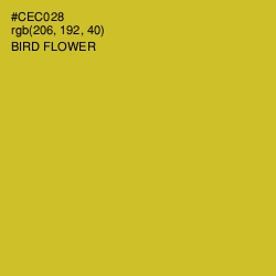 #CEC028 - Bird Flower Color Image