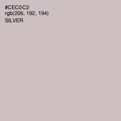 #CEC0C2 - Silver Color Image