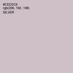 #CEC0C6 - Silver Color Image