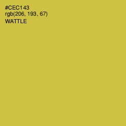 #CEC143 - Wattle Color Image