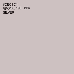 #CEC1C1 - Silver Color Image