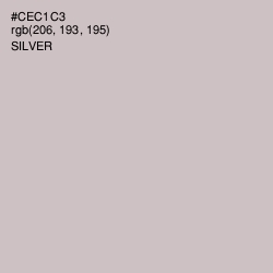 #CEC1C3 - Silver Color Image