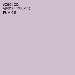 #CEC1CD - Pumice Color Image