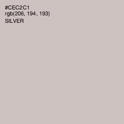 #CEC2C1 - Silver Color Image