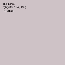 #CEC2C7 - Pumice Color Image